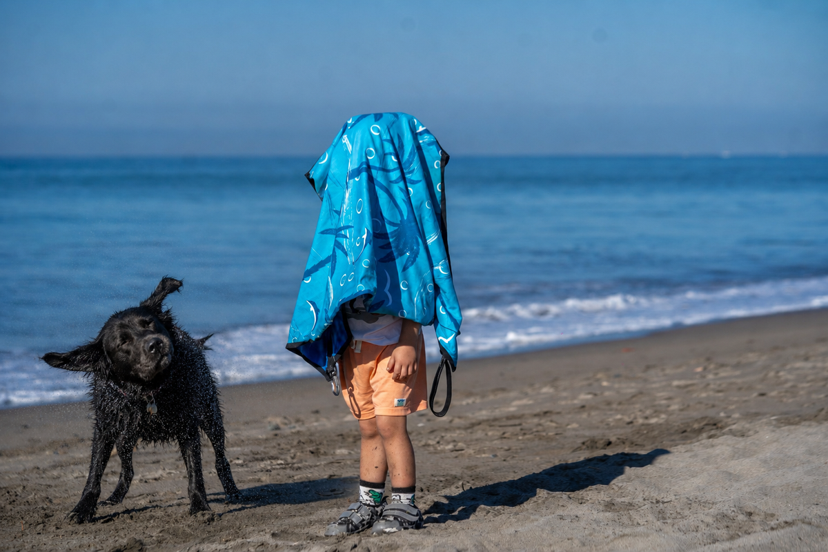 Why Do Dogs Shake Water Everywhere? The Incredible Physics of the Wet-Dog Shake
