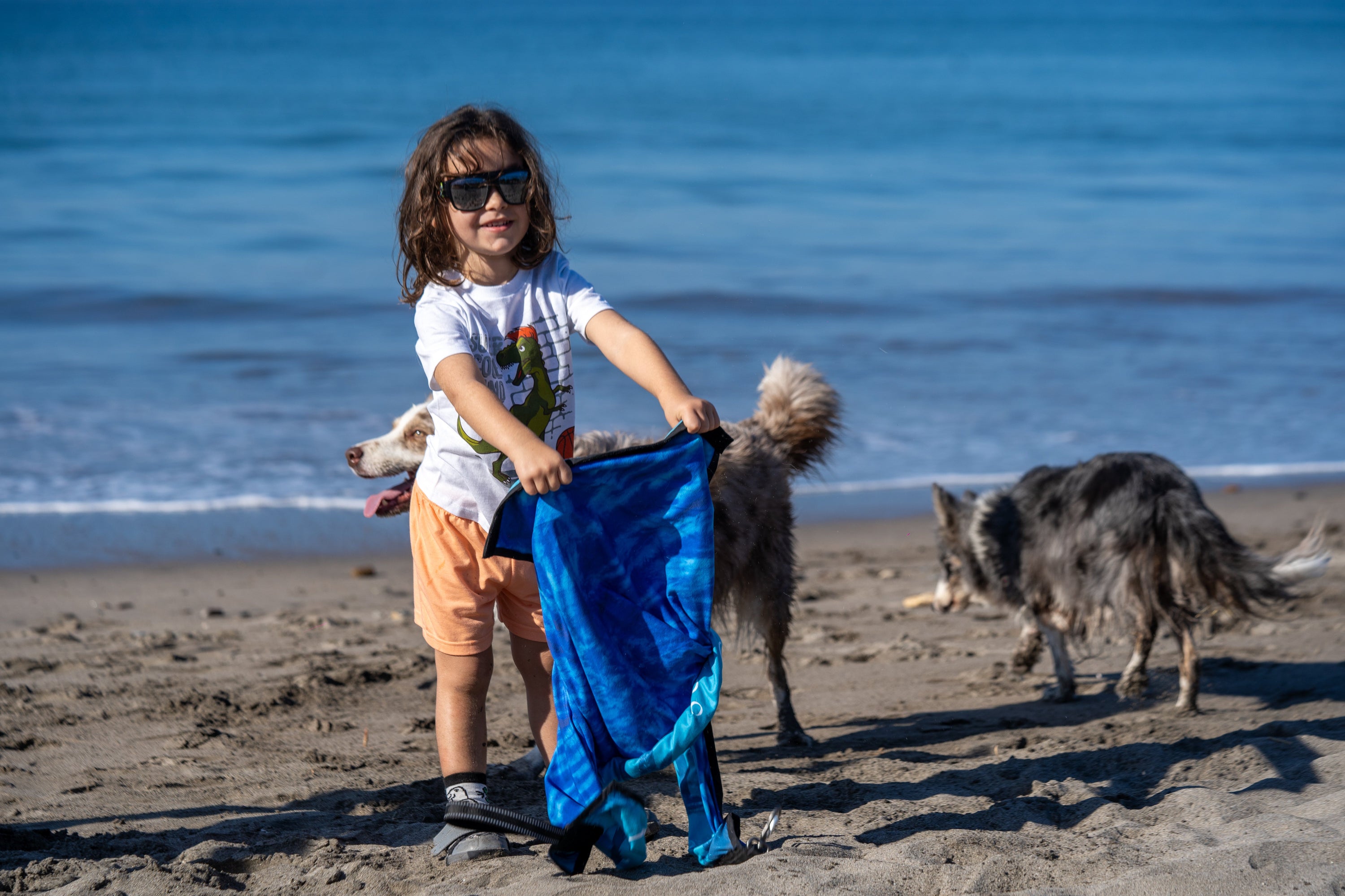 How to Build the Perfect “Grab-and-Go” Dog Adventure Setup