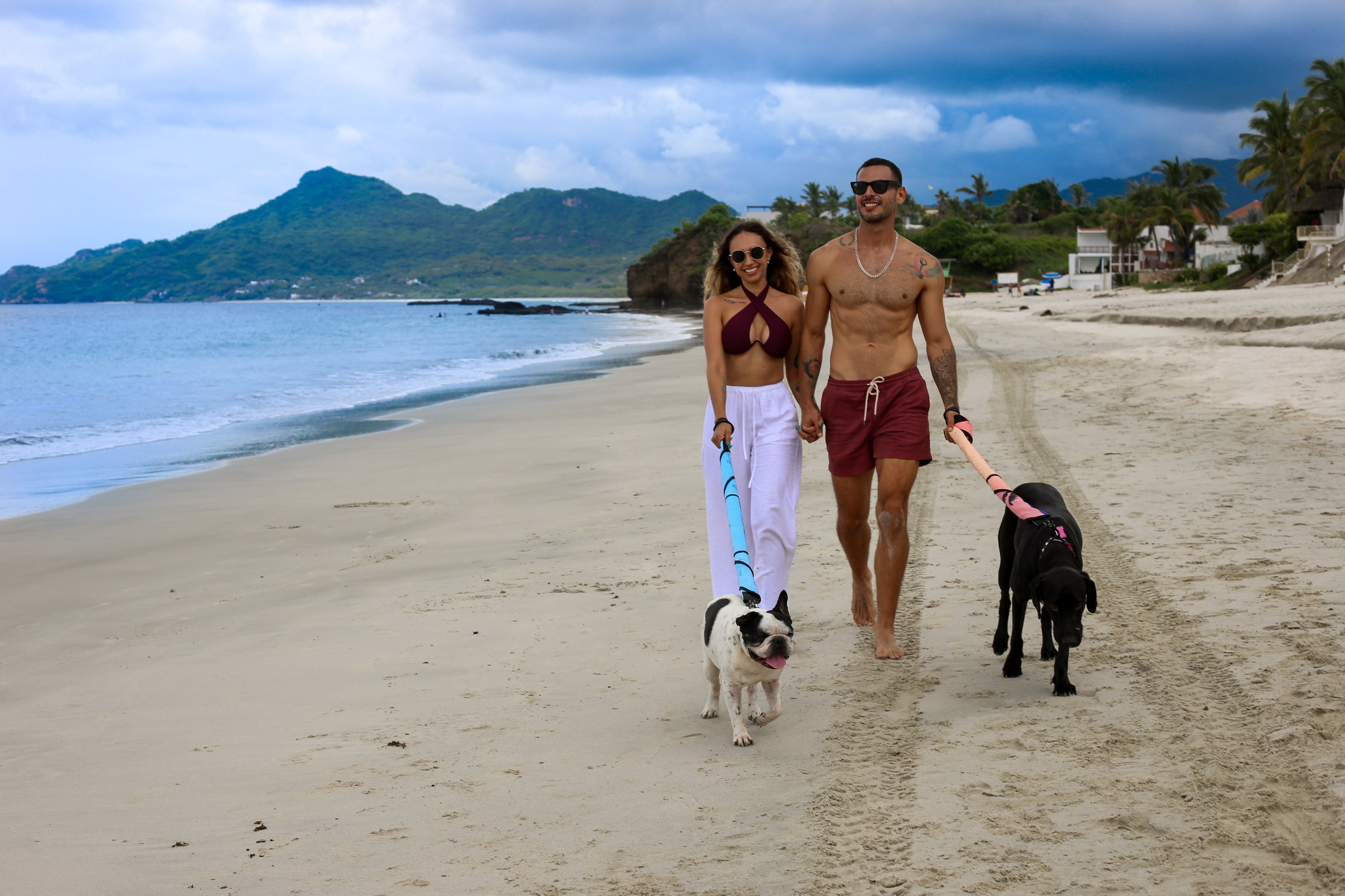 Dog Beach Etiquette: The Unspoken Rules That Make or Break the Experience