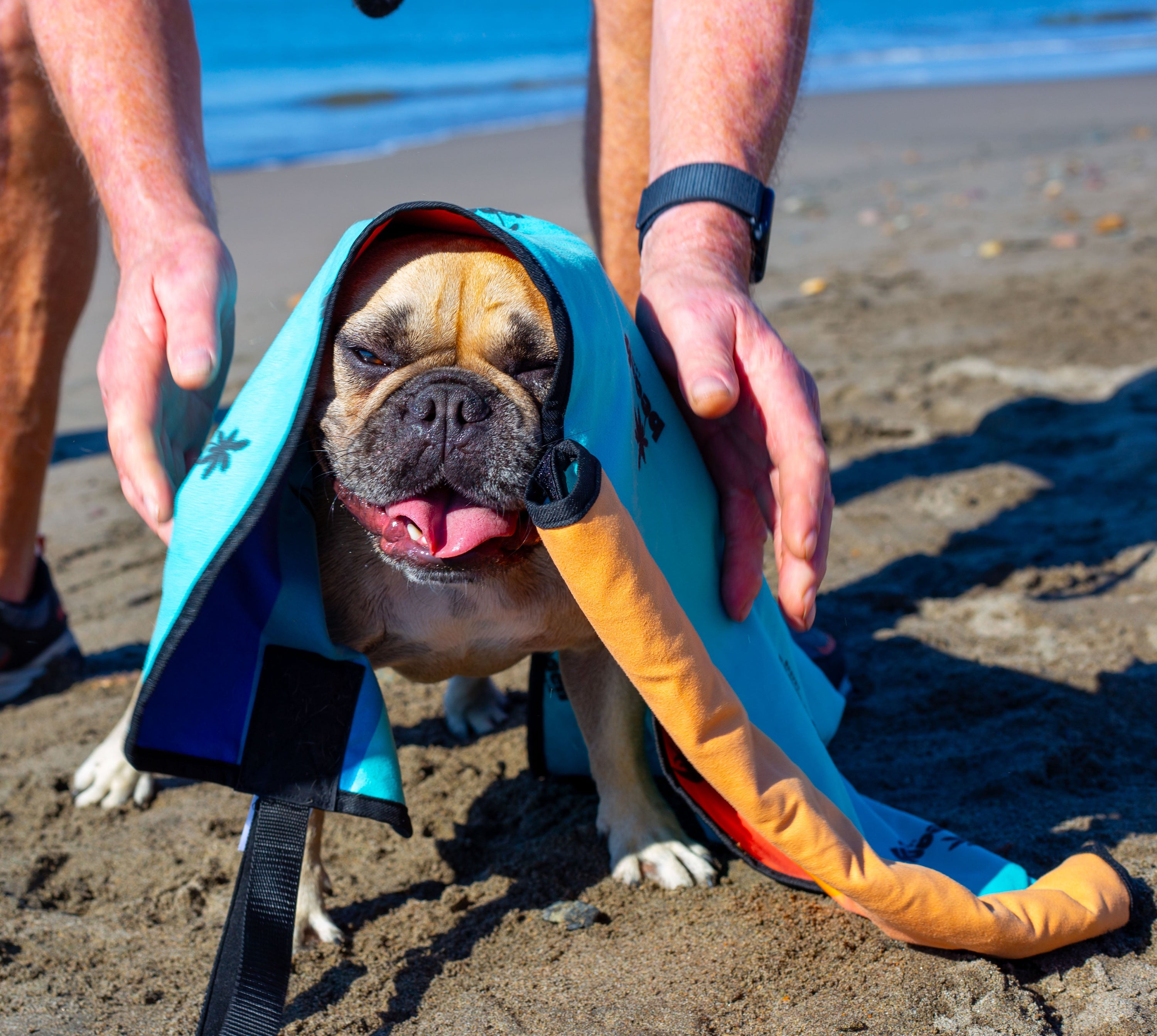 The Complete Post-Adventure Dog Routine (Beach, Lake, Mud & Everything In Between)