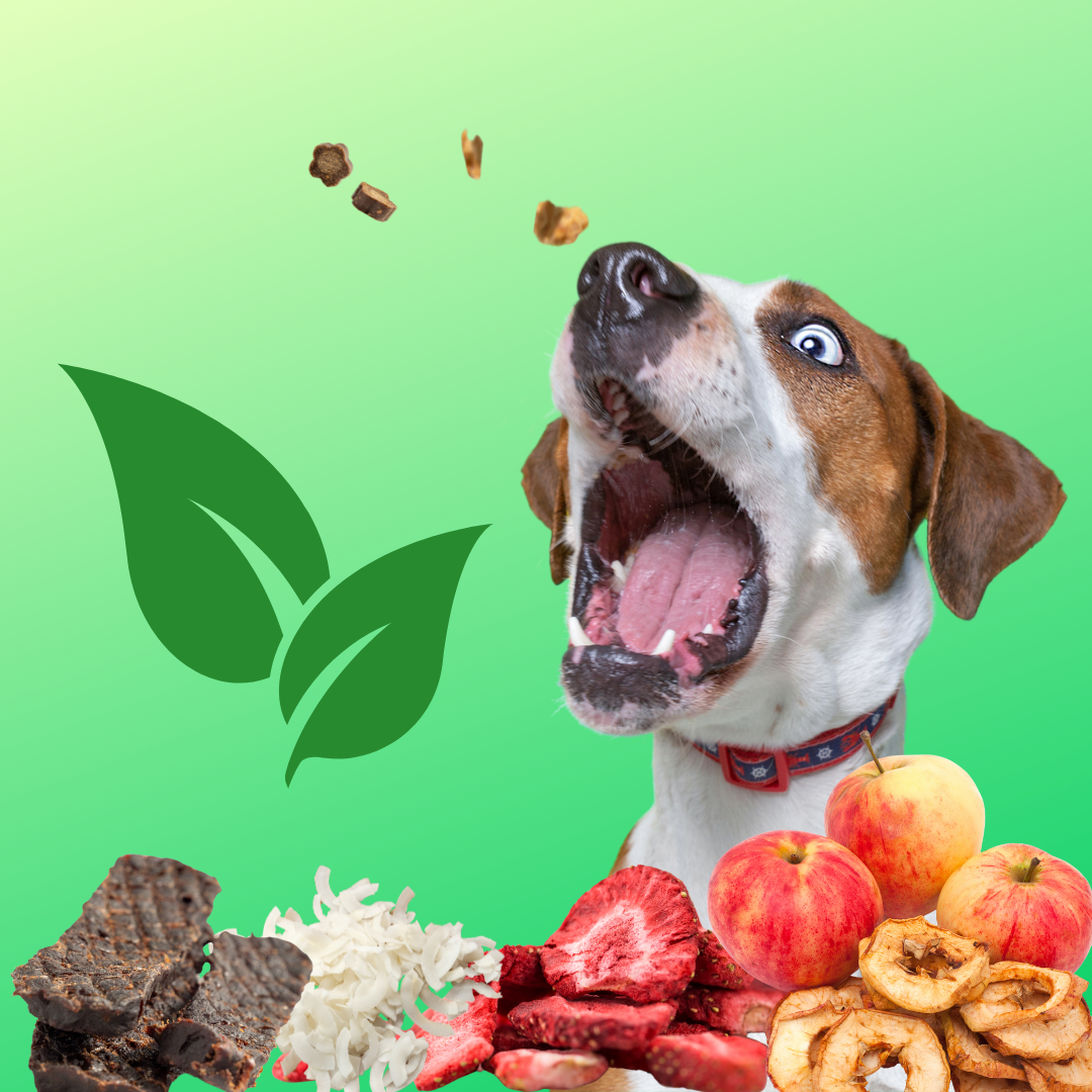 Natural Treats Dogs Love
