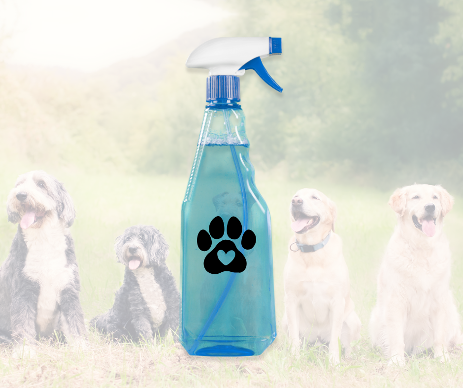 DIY Natural Paw & Coat Refresh Spray for Dogs (Perfect for Beach Days & Everyday Adventures)