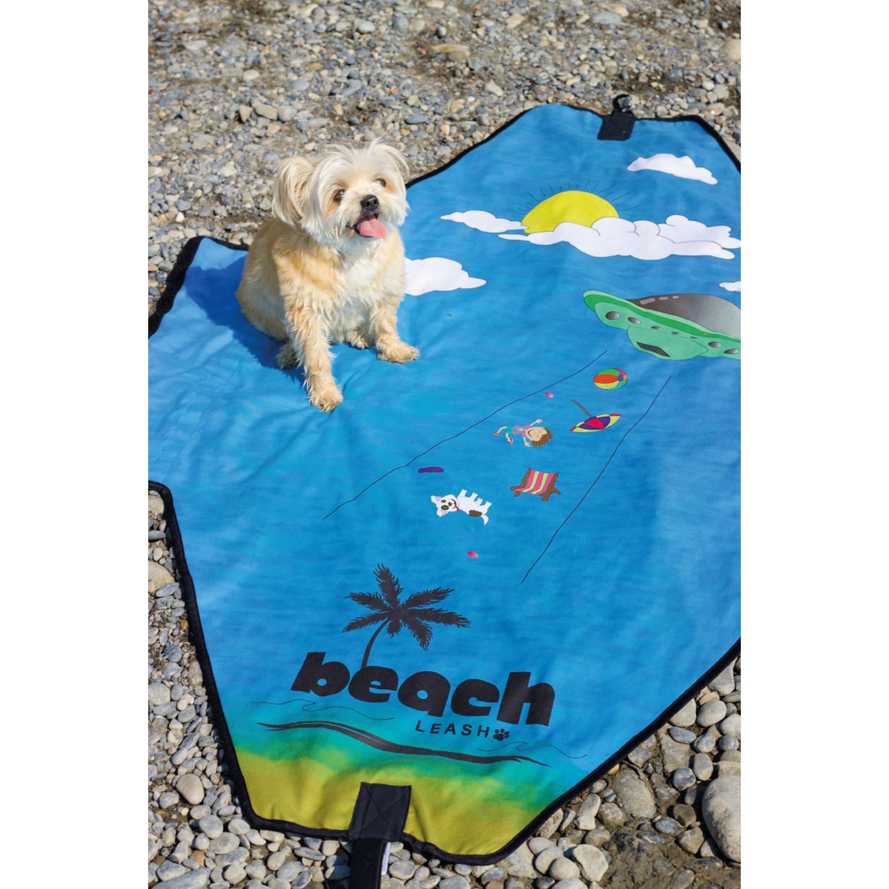 Beam Me Up Doggy Beach Leash™