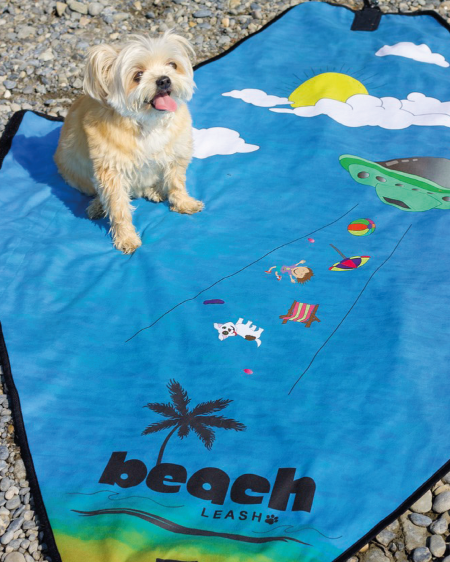 Dog using Beam Me Up Doggy all-in-one leash and towel outdoors