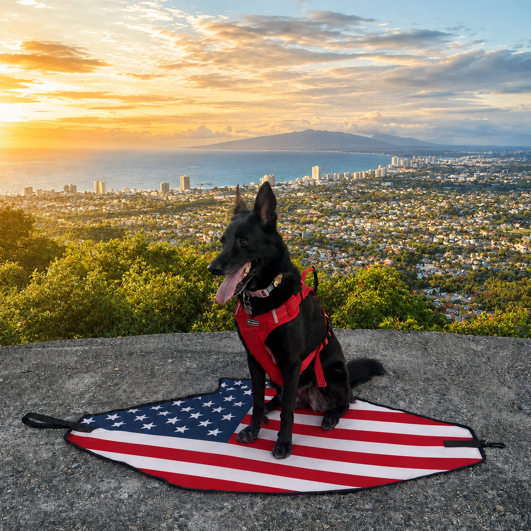 Stars & Stripes Beach Leash™
