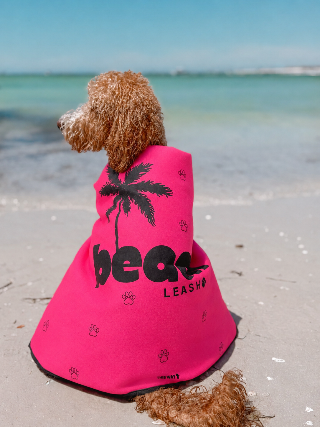 Simply Pink Beach Leash™