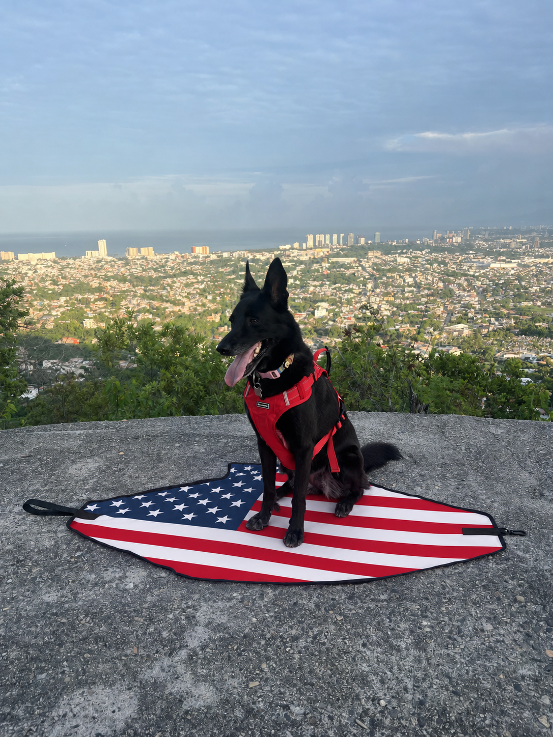 Stars & Stripes Beach Leash™