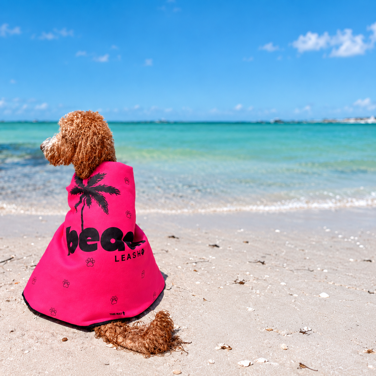 Simply Pink Beach Leash™