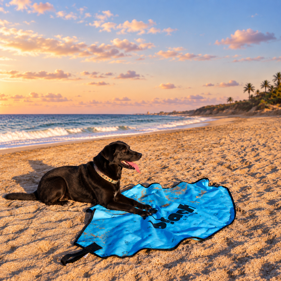 Simply Blue Beach Leash™