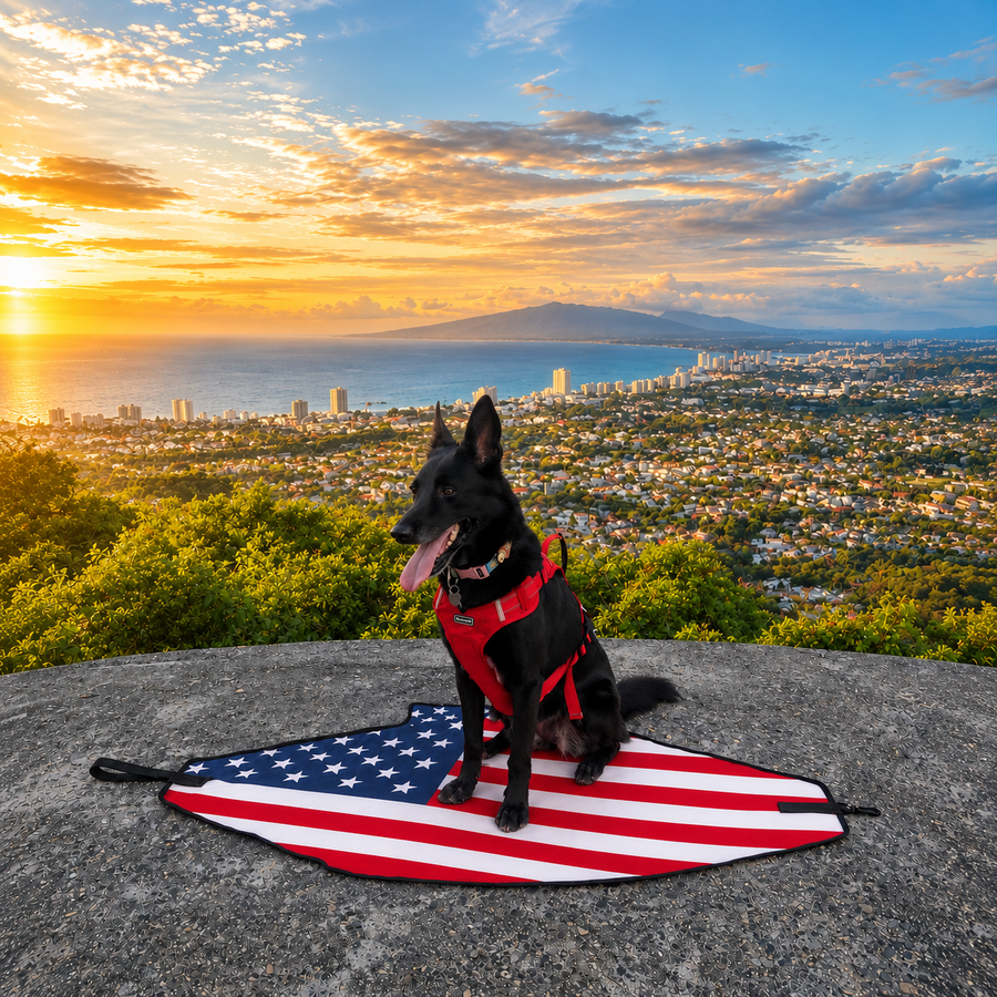 Stars & Stripes Beach Leash™