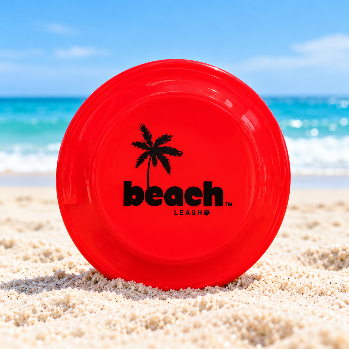 Plastic Flying Disc