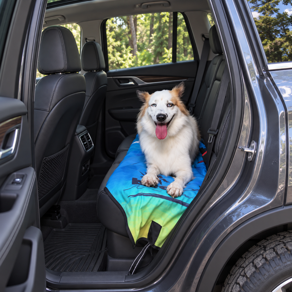 Car-Seat Cover