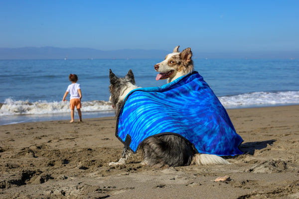 Blanket