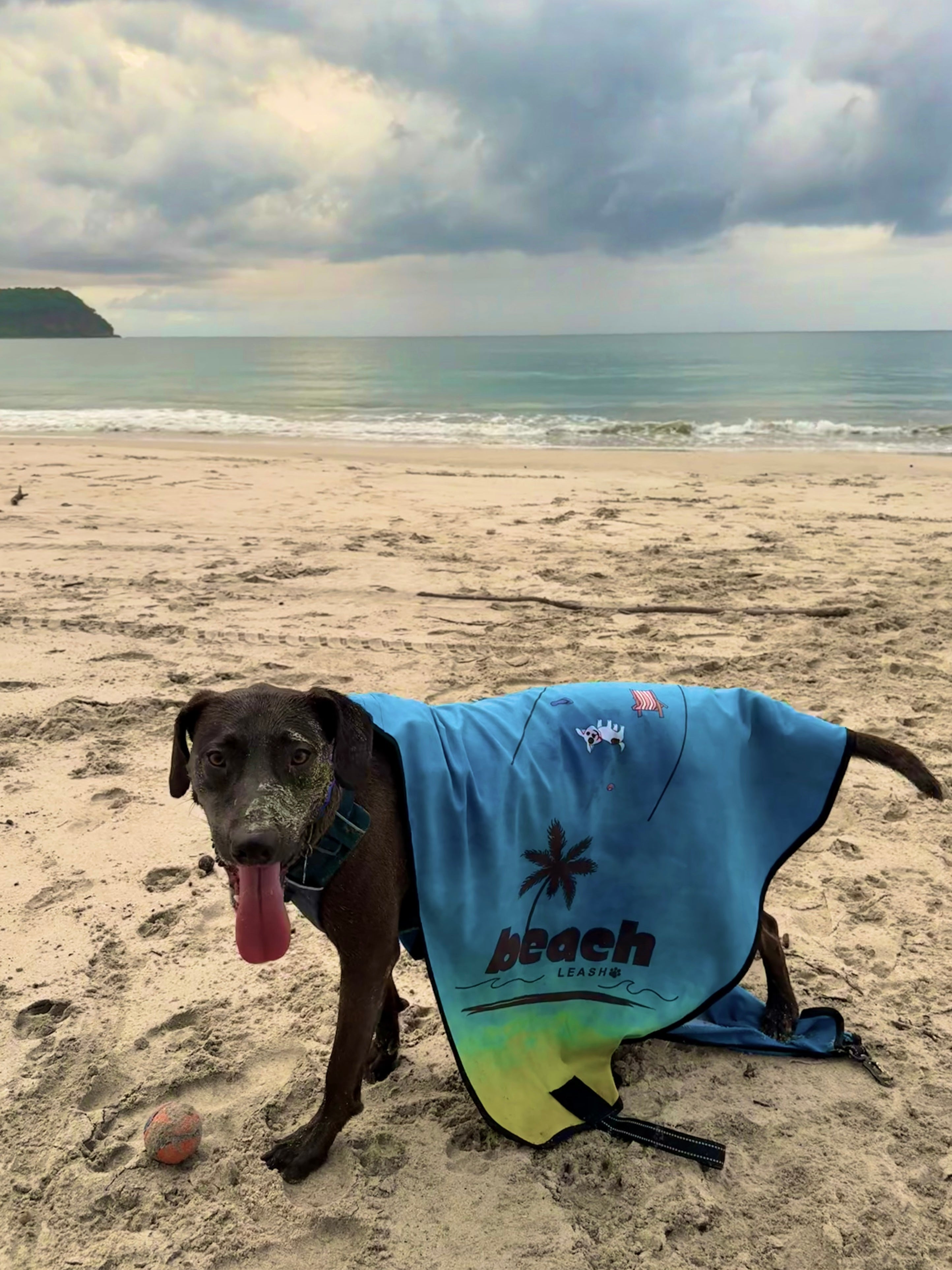Beam Me Up Doggy Beach Leash™
