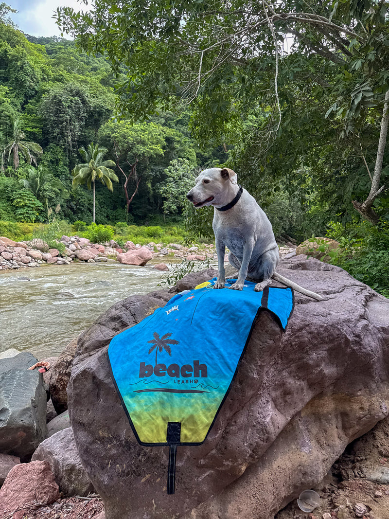 River Dips