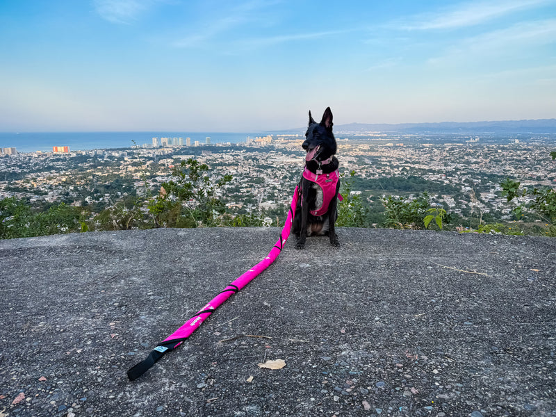 Morning Hikes