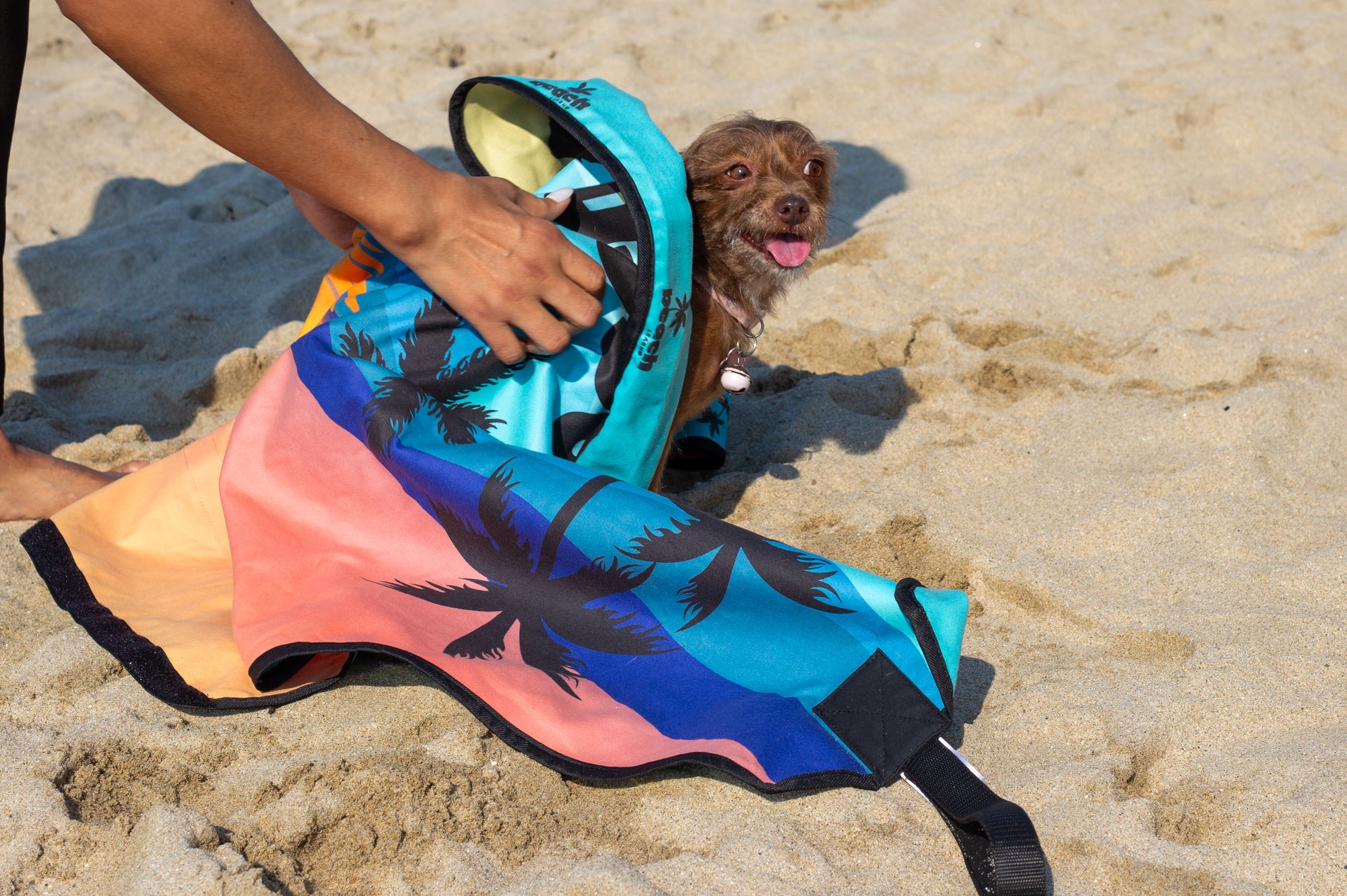 Sunsets & Sandy Paws Beach Leash™