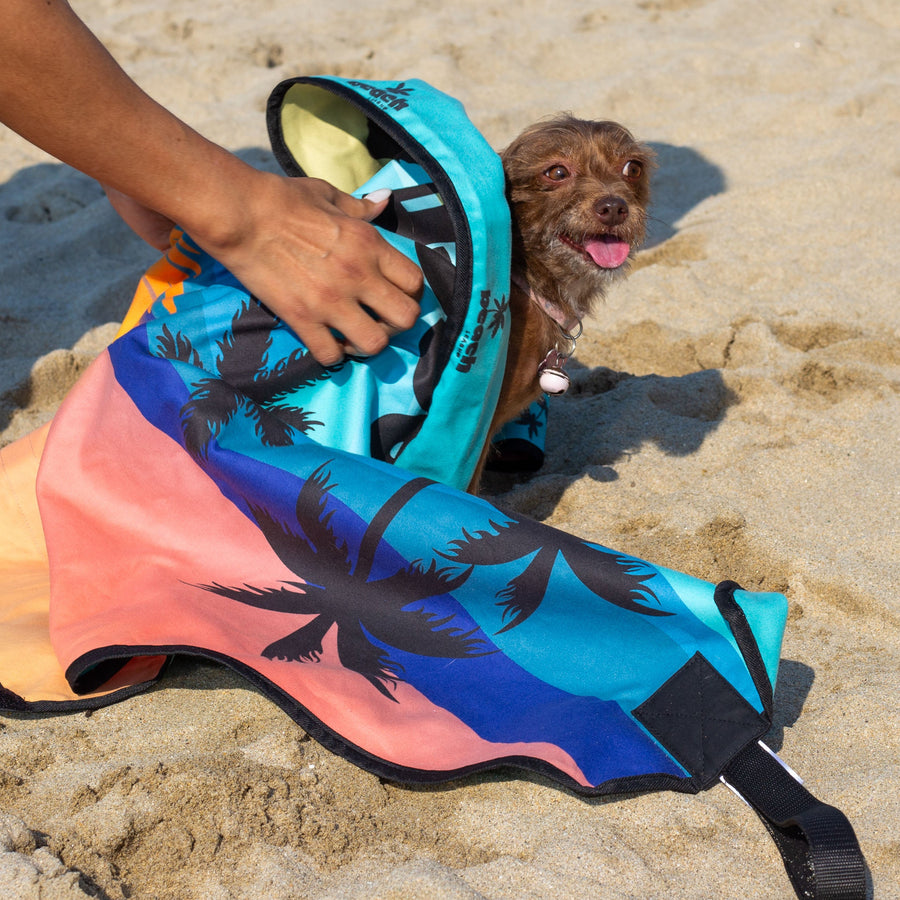 Sunsets & Sandy Paws Beach Leash™