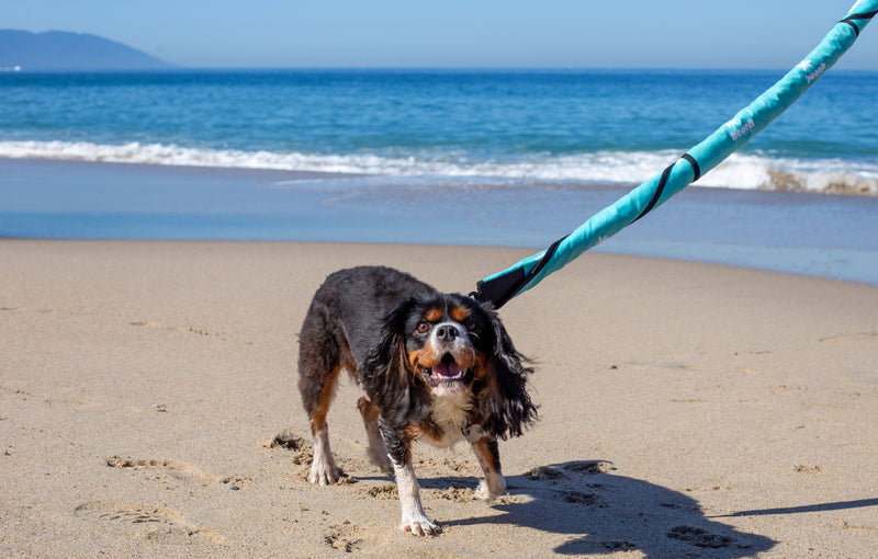 Beach Days