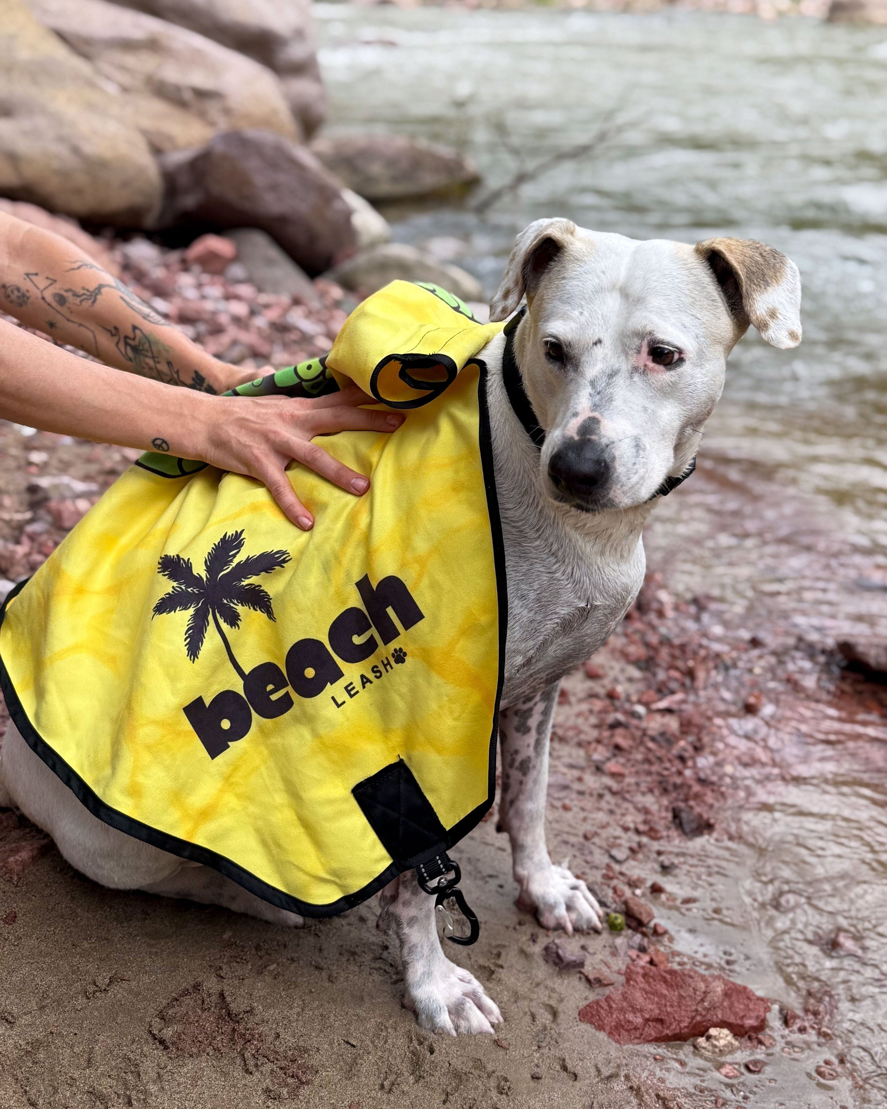 Sea Turtle Serenity Beach Leash™  – A Calm, Go-Anywhere 2-in-1 Dog Leash & Towel