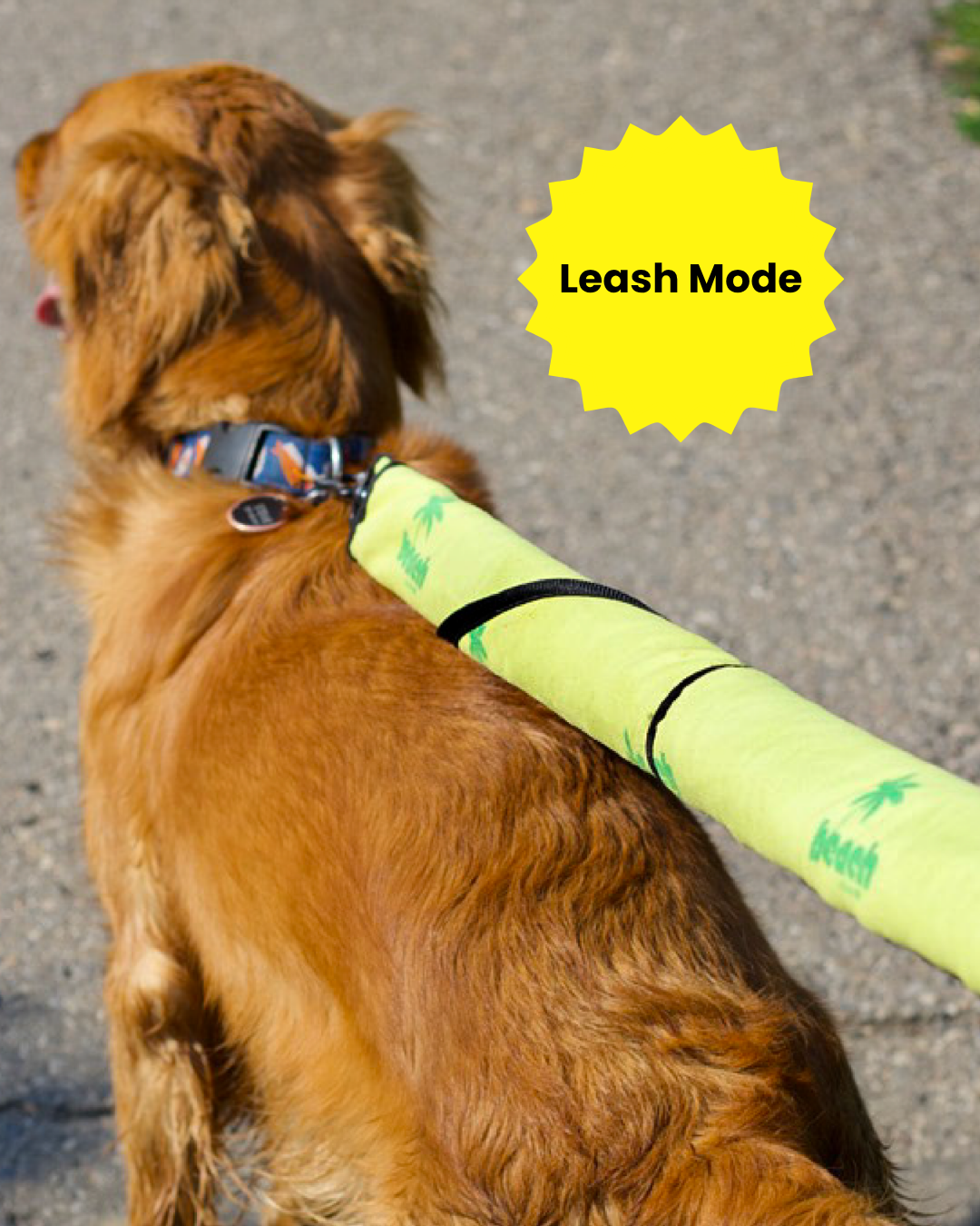 Sea Turtle Serenity Beach Leash™  – A Calm, Go-Anywhere 2-in-1 Dog Leash & Towel