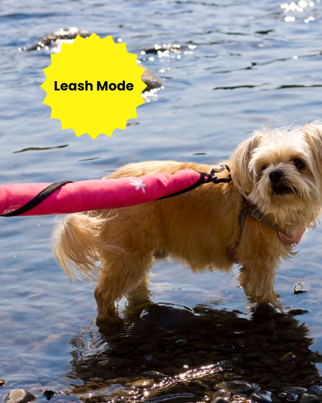 Simply Pink Beach Leash™ – A Clean & Simple, Everyday 2-in-1 Dog Leash & Towel