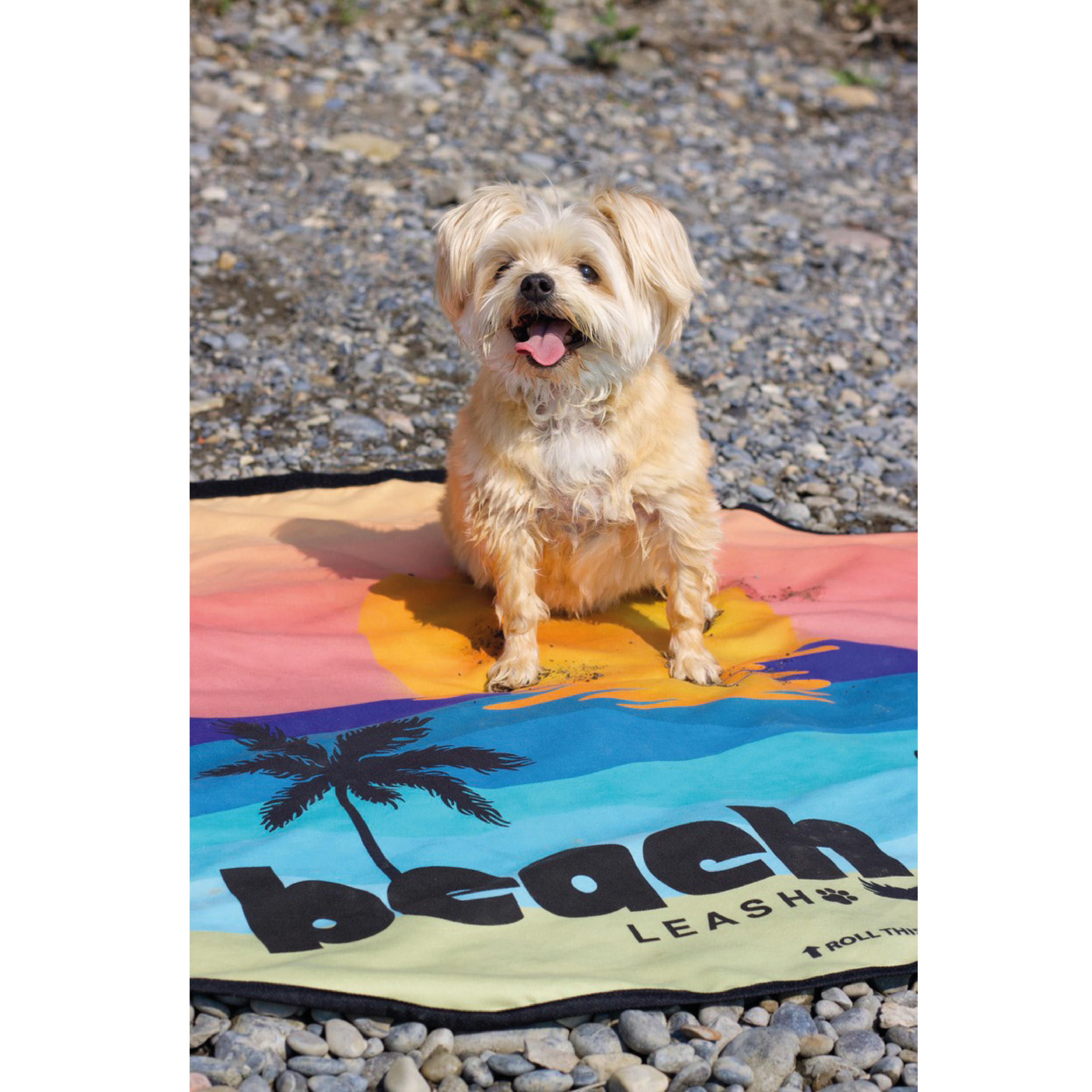 Sunsets & Sandy Paws Beach Leash™