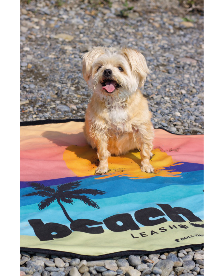 Dog using Sunsets & Sandy Paws multifunction leash and towel outdoors