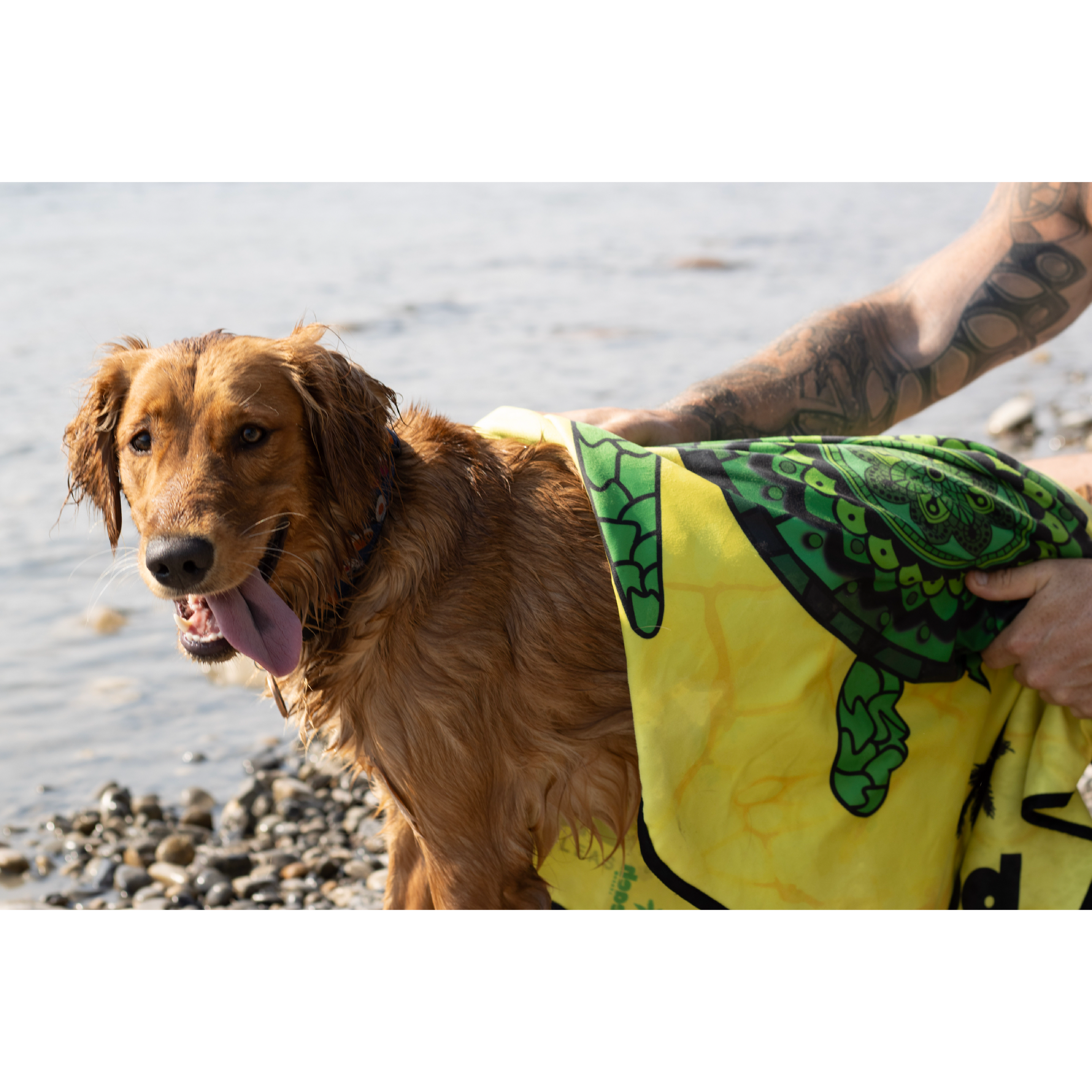 Sea Turtle Serenity Beach Leash™