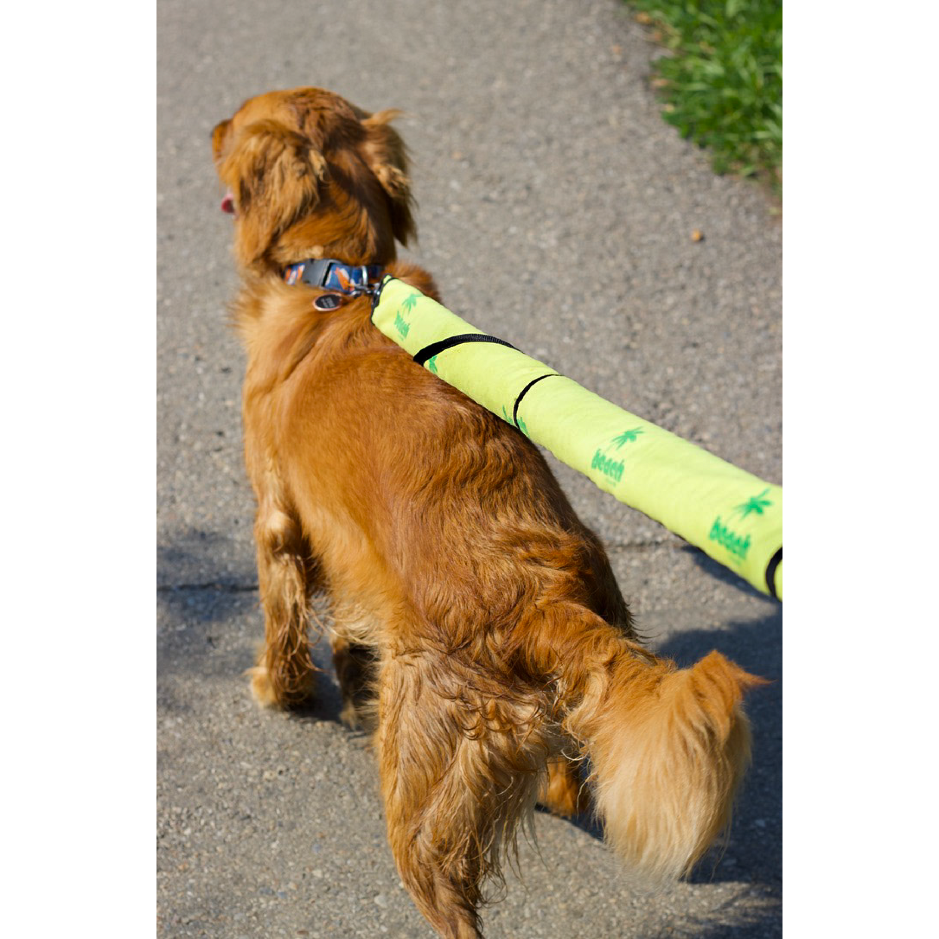 Sea Turtle Serenity Beach Leash™