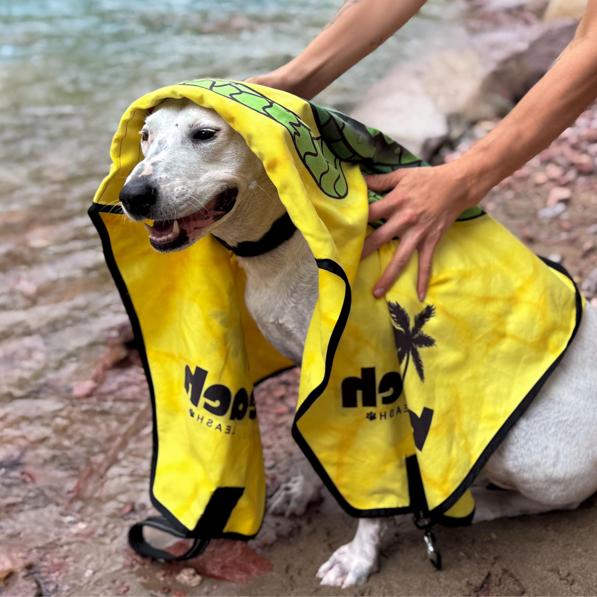 Wet dog being dried off with Beach Leash towel leash