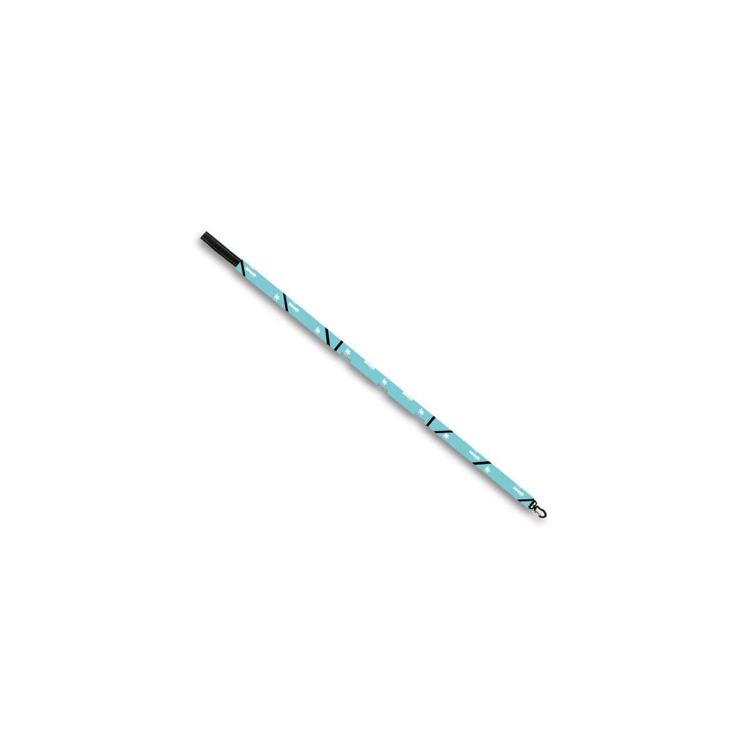 Beam Me Up Doggy Beach Leash™